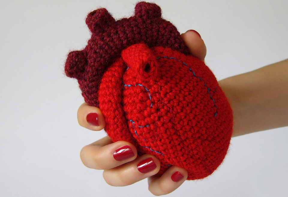 Anatomical heart